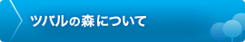 ツバルの森について